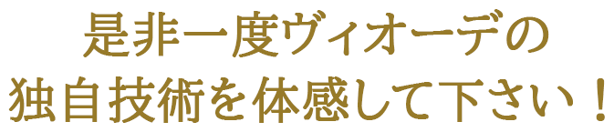 是非一度ヴィオーデ美容整体サロン独自技術を体感してください！