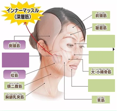 ヴィオーデのここがすごい！